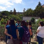 Come de tu cuenca 2014, del huerto al restaurante en el DF