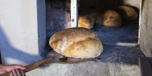 Pan de Tinguindin, tradición purépecha