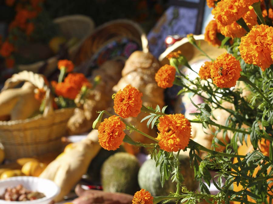 Día de Muertos Michoacán