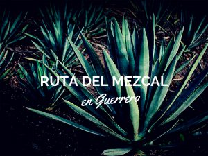 Recorre la ruta del mezcal en Guerrero