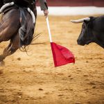 Festival Toros Pachuca 2014