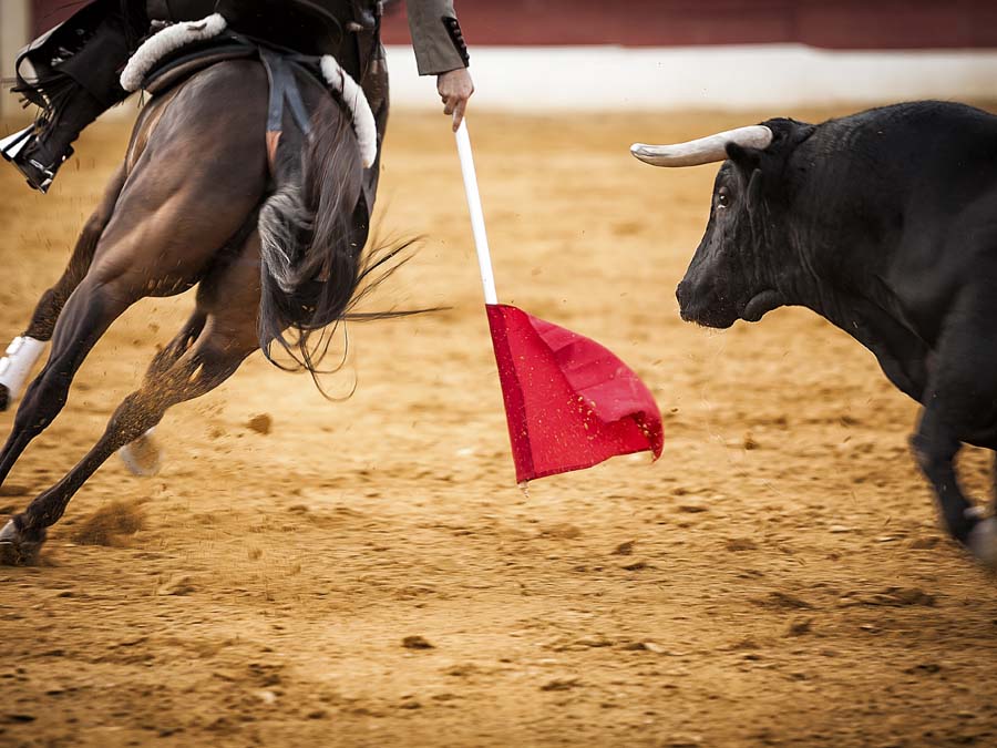 Festival Toros Pachuca 2014