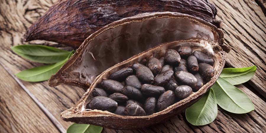 Cacao de Tabasco en Salón de Chocolate 2014 de París