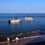 Cierra bien el año en Puerto Vallarta con Del mar a la mesa