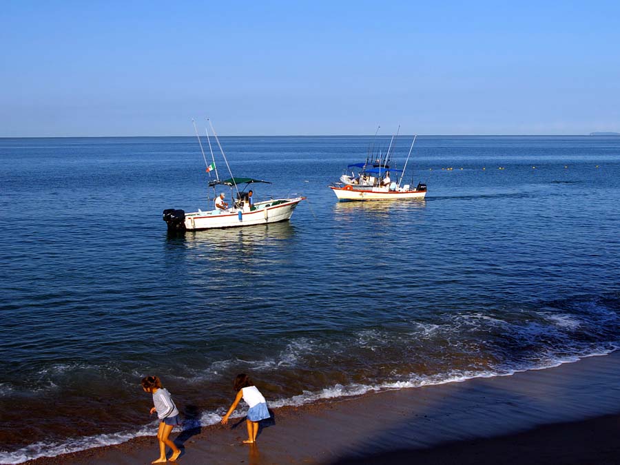 Puerto Vallarta, Del mar a la mesa 2014