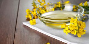 5 datos del aceite de canola