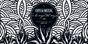 Expo mezcal 2014 en DF