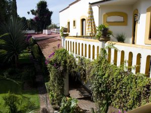 Hotel Hacienda Los Laureles en Oaxaca | Foto: Mariana Castillo