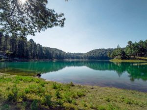 Los cinco puntos de la Ruta de la salud