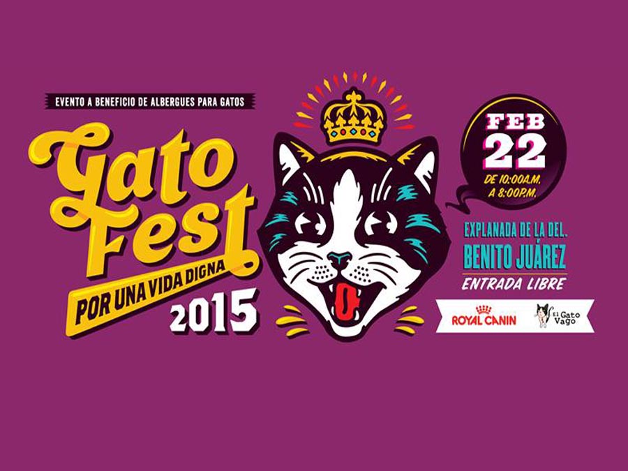 Gato Fest 2015