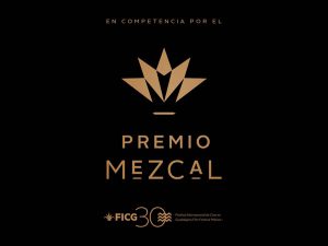 Festival Internacional de Cine en Guadalajara