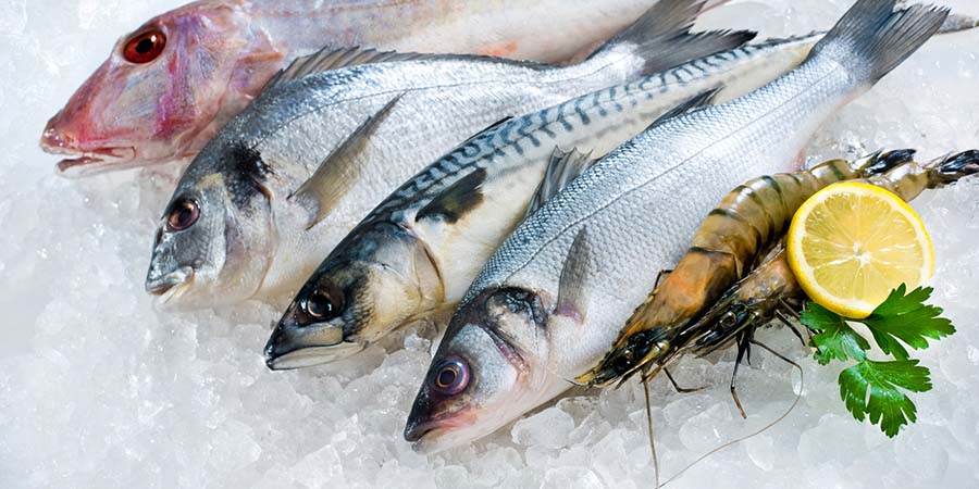 Los pescados, sus beneficios y clasificación