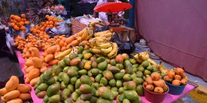 Tianguis de Chilapa, variedad guerrerense