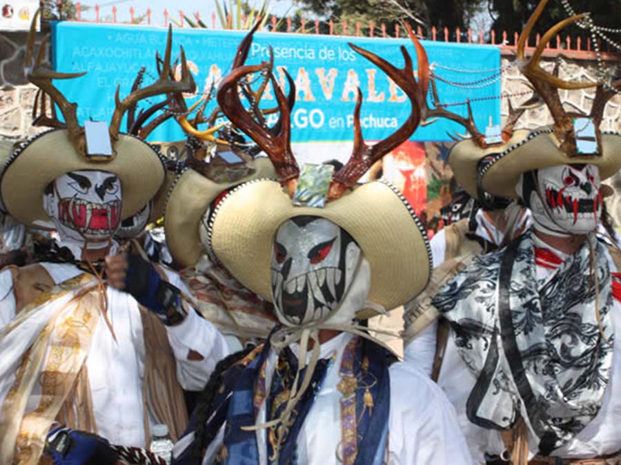 Carnavales en Hidalgo