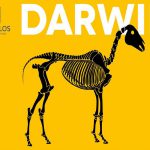 Exposición “Darwin” en Morelos