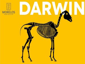 Exposición “Darwin” en Morelos