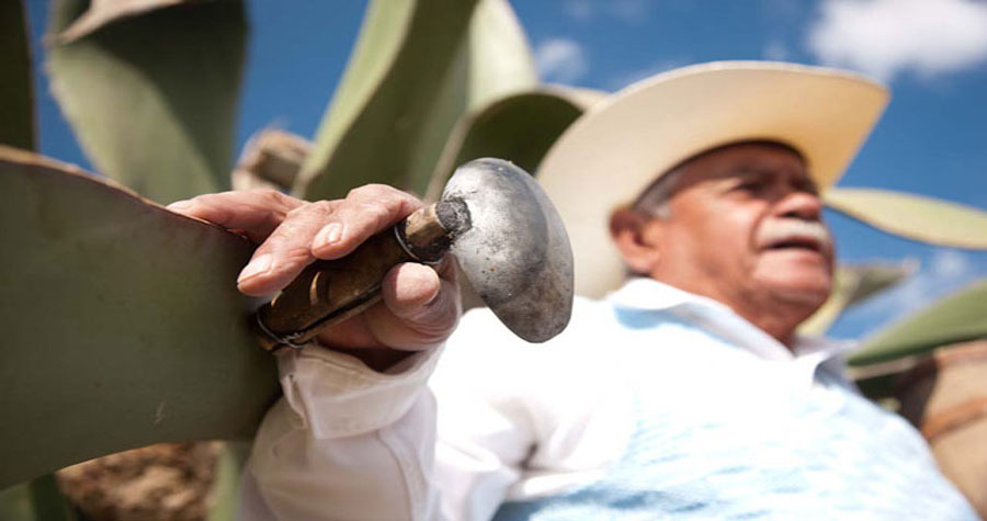 Feria del Pulque en Nanacamilpa, Tlaxcala