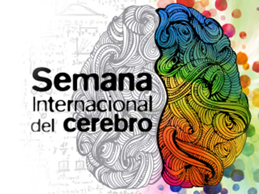 Semana Internacional del Cerebro en Universum