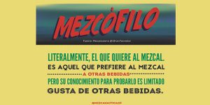 Taller de mezcanáuta, conocer a fondo al mezcal en Mezcanaútica