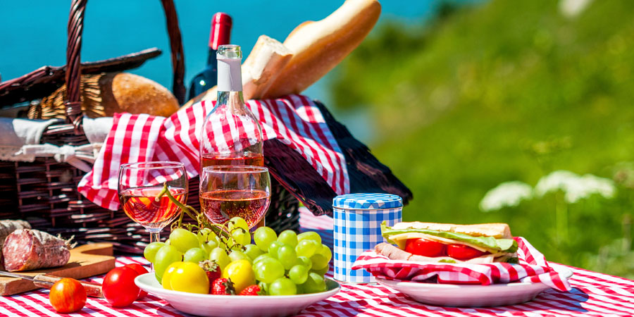 ¿Qué alimentos llevar a un picnic?