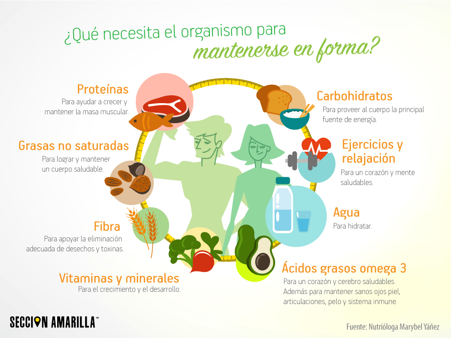 ¿Qué necesita el organismo para mantenerse en forma?