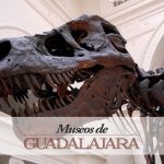 Guía “Museos de Guadalajara”