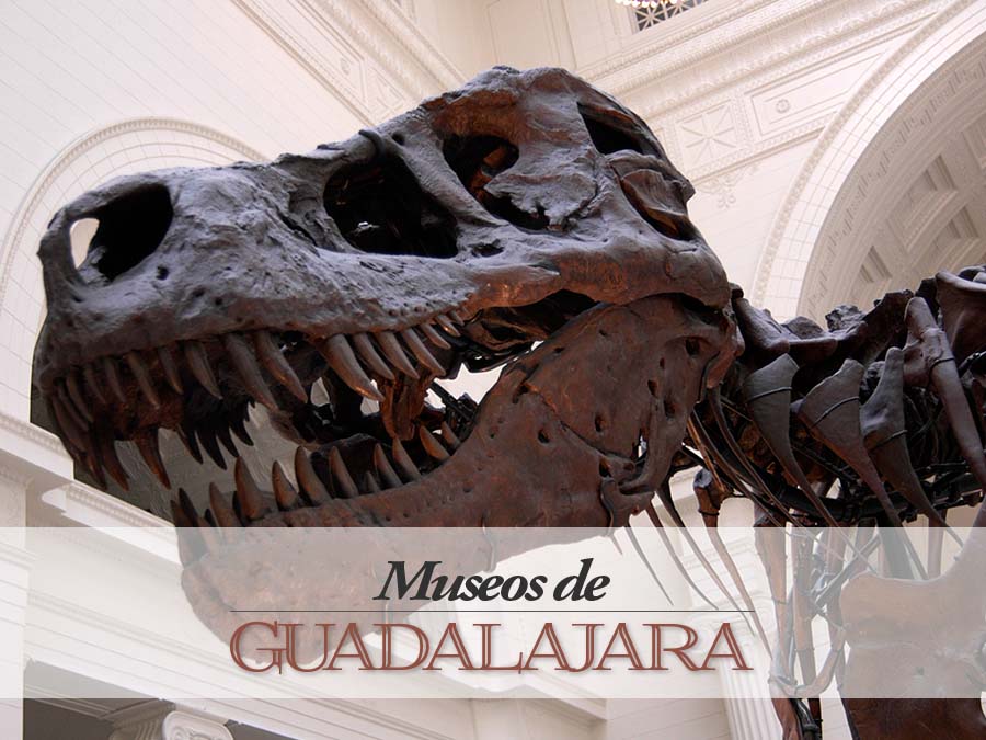 Guía “Museos de Guadalajara”