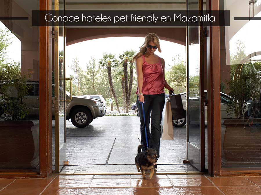 Conoce hoteles pet friendly en Mazamitla