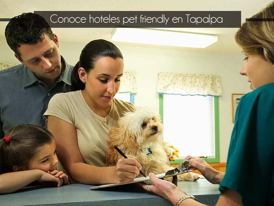 Conoce hoteles pet friendly en Tapalpa