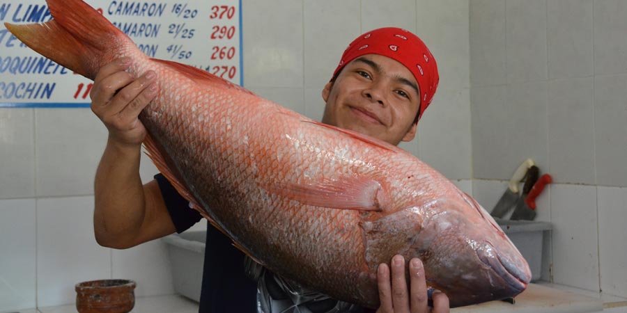 Este muchacho me sacó uno de los pescados en el congelador de El Pirata en Playa del Carmen, ya volveré a probar / Foto: Mariana Castillo