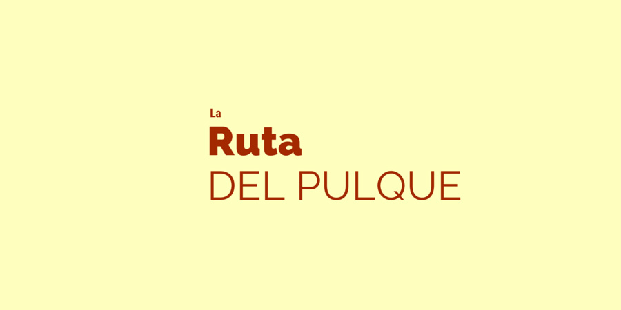 La Ruta del Pulque con FotoViajes Ajonjolí