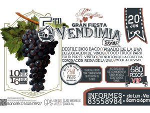 Quinta Gran Fiesta Vendimia 2015