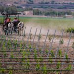 Finca Sala Vivé, el alma de las uvas en Querétaro