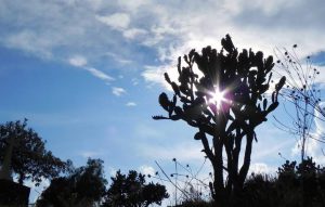 paisaje-milpa-alta-df