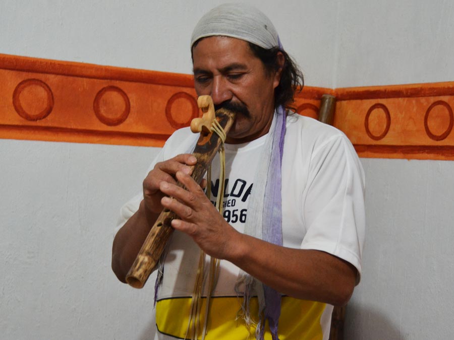 Casa del Venado Azul, música e instrumentos muy especiales en Mineral de Pozos