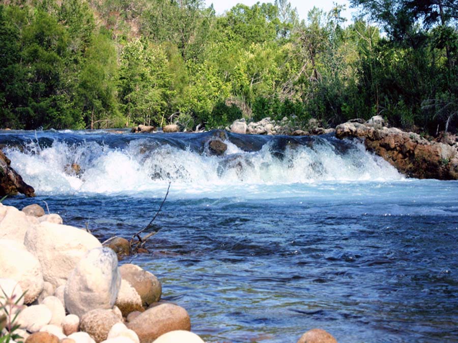 Llera Tamamaulipas