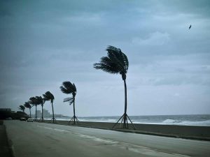 Albergues y teléfonos de emergencia por huracán Patricia