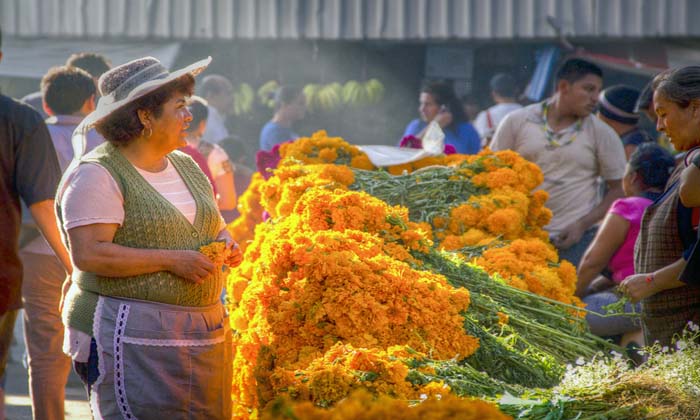 mercado-jamaica