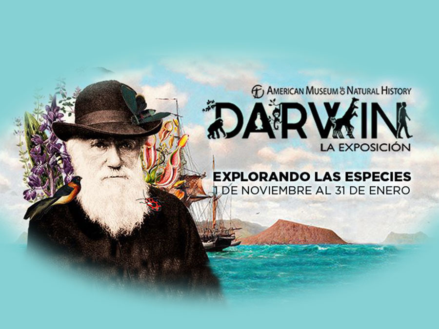 Exposición de Darwin en el Museo Trompo Mágico