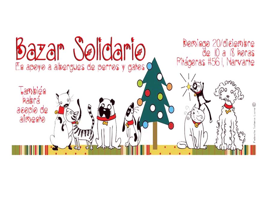 bazar-solidario-df