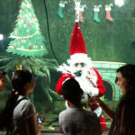 Navidad en el Zoológico Guadalajara