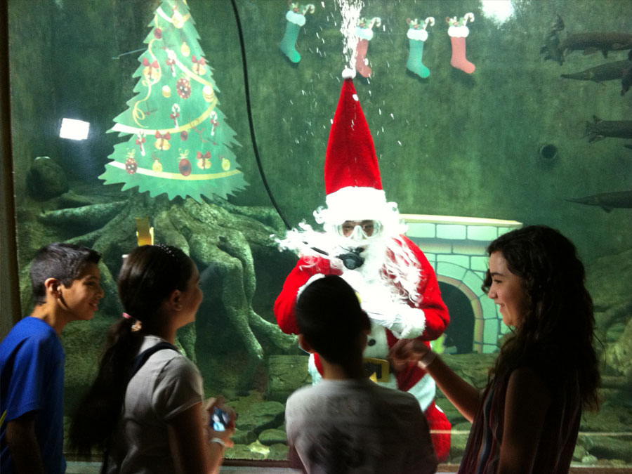 Navidad en el Zoológico Guadalajara