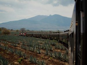 Celebra el fin de año en Tequila