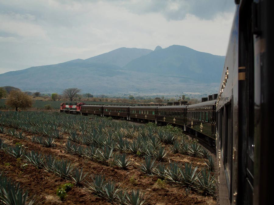 Celebra el fin de año en Tequila