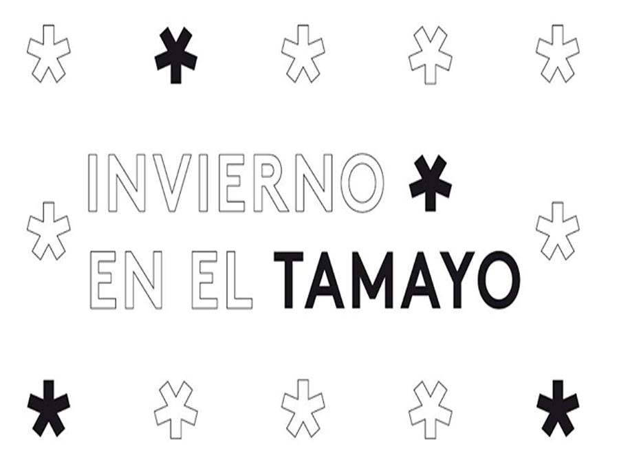 invierno-en-el-tamayo-df