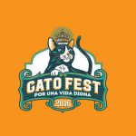 Gato Fest 2016