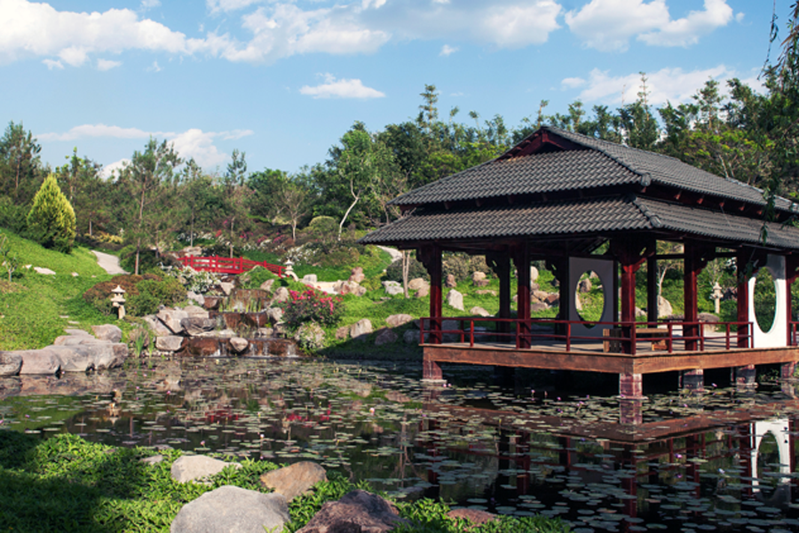 El jardín más grande del mundo está en Morelos