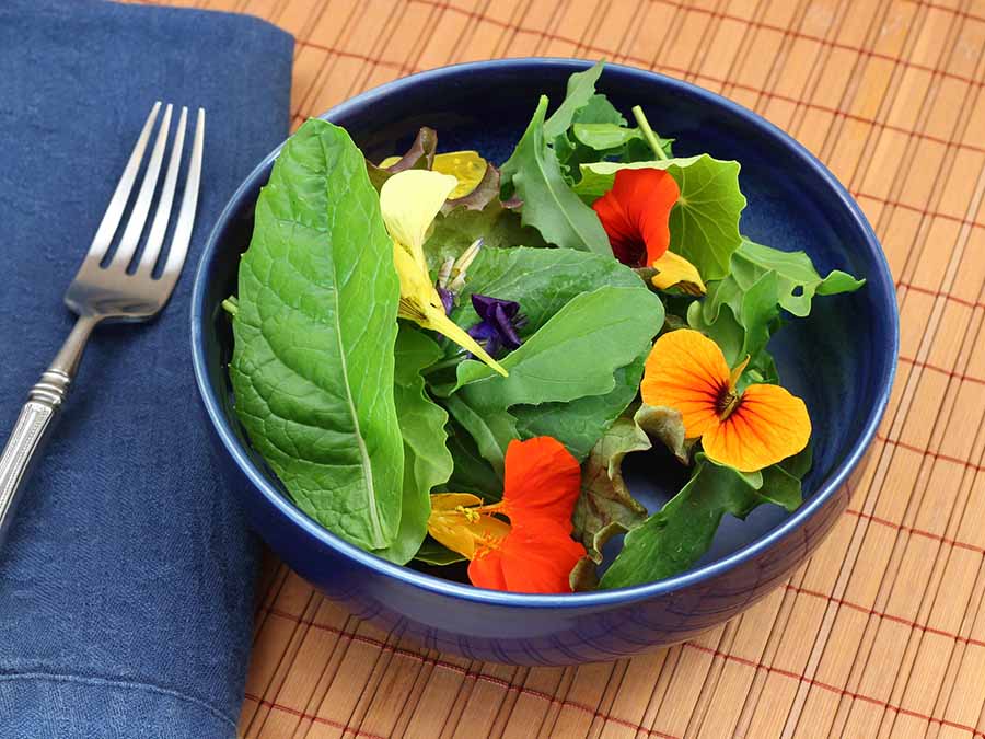 5 recetas con insectos y flores para cocinar en Cuaresma