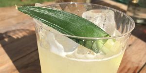 Coctel Fennel affair