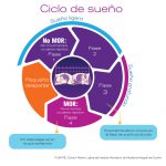 Ciclo del sueño (infografía)